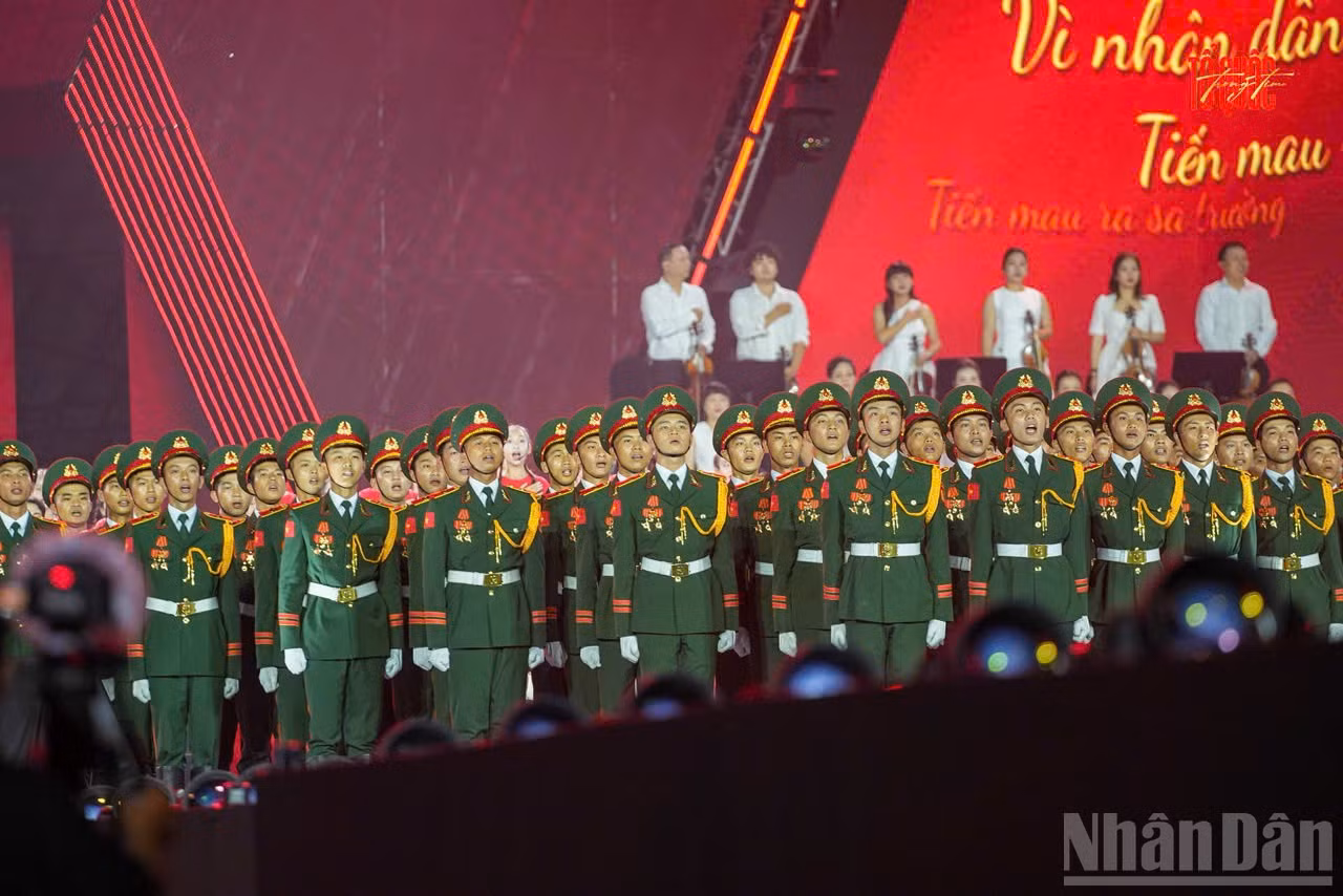 ndo_br_ct-dieubinh2.jpg