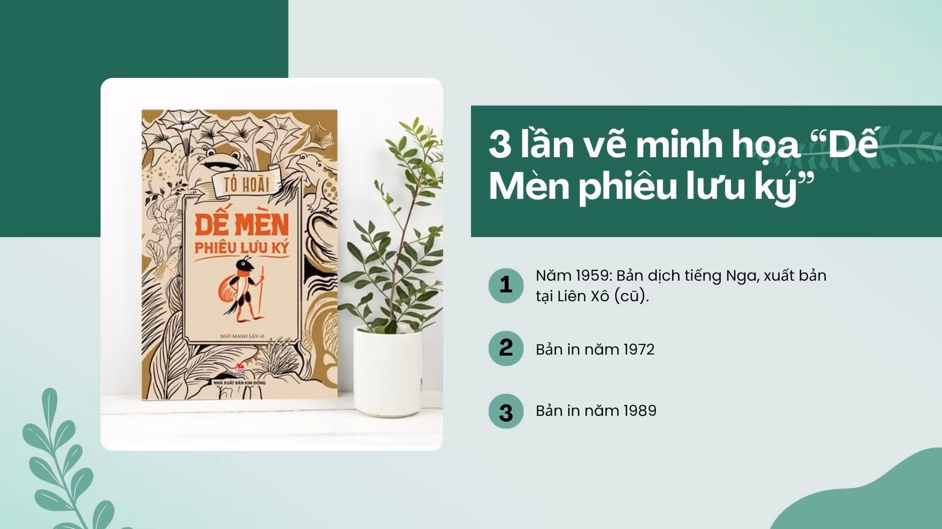 nsndngomanhlan-box1.jpg