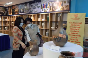Gallery - Nỗ lực thực hiện mục tiêu kép - image 2