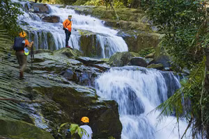 Gallery - Du lịch thích ứng an toàn với Covid-19 - image 8