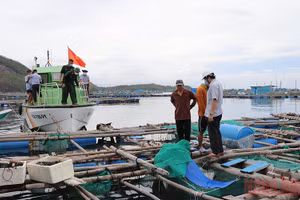 Gallery - Trang địa phương - image 6
