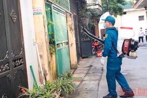 Gallery - Trang địa phương - image 16