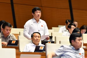 Gallery - Kỳ họp thứ ba, Quốc hội khóa XV - image 21