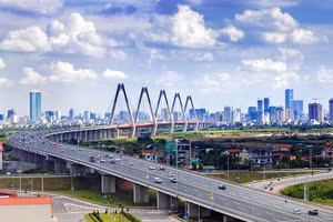 Gallery - Chiến lược tái sinh - Tết Nhâm Dần 2022 - image 2