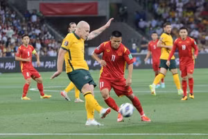 Gallery - Vòng loại World Cup 2022 - image 3