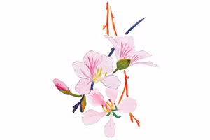 Người đi chẳng nói