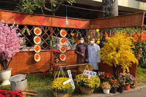 Gallery - Chăm lo Tết Nhâm Dần cho người dân - image 22