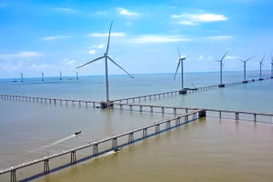 Gallery - Chiến lược tái sinh - Tết Nhâm Dần 2022 - image 4