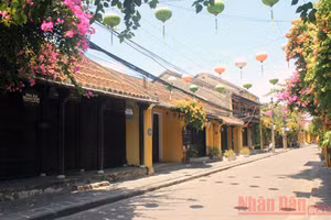 Gallery - Thúc đẩy phát triển du lịch hậu Covid-19 - image 2