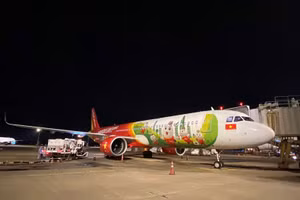 Gallery - Mở lại đường bay quốc tế - image 3