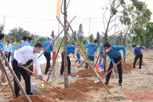 Gallery - Tết trồng cây Xuân Nhâm Dần 2022 - image 5