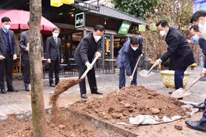 Gallery - Tết trồng cây Xuân Nhâm Dần 2022 - image 8