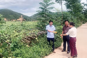 Gallery - Đại hội Đảng bộ trực thuộc Trung ương - image 7