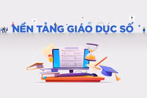 Gallery - Infographic - image 6