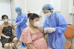 (Ảnh minh họa: TTXVN)