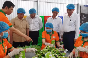 Gallery - Trang địa phương - image 21