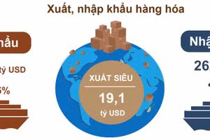 Gallery - Nhìn lại năm 2020 - image 4