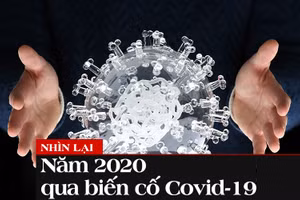 Gallery - Nhìn lại năm 2020 - image 5