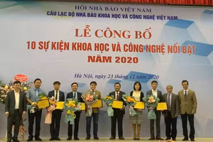 Gallery - Nhìn lại năm 2020 - image 9