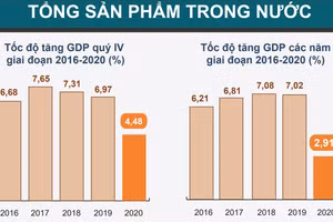 Gallery - Nhìn lại năm 2020 - image 10