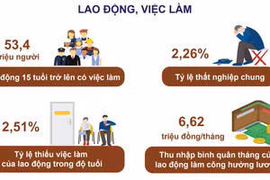 Gallery - Nhìn lại năm 2020 - image 11