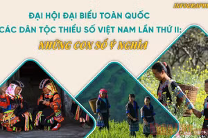 Gallery - Đại hội đại biểu toàn quốc các dân tộc thiểu số Việt Nam lần thứ II - image 11