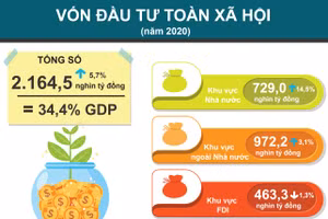 Gallery - Nhìn lại năm 2020 - image 16