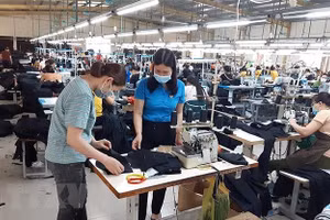 Gallery - Ý kiến cán bộ trong nước - image 8