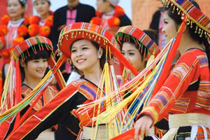 Gallery - Ý kiến cán bộ trong nước - image 9