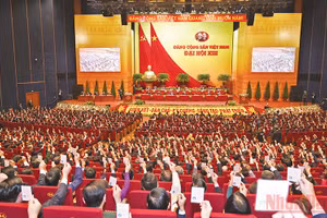 Gallery - Ý kiến người dân - image 5