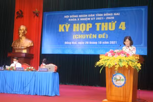 Gallery - Nỗ lực thực hiện mục tiêu kép - image 3