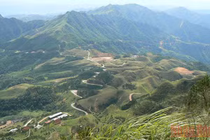Gallery - Nỗ lực thực hiện mục tiêu kép - image 9