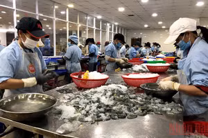 Gallery - Nỗ lực thực hiện mục tiêu kép - image 10