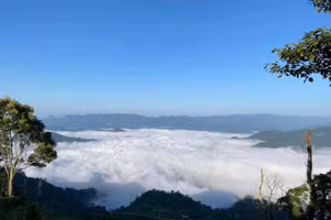Gallery - Nỗ lực thực hiện mục tiêu kép - image 14