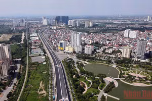 Gallery - Ý kiến học giả ngoài nước - image 4