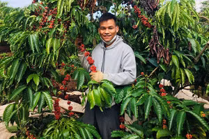 Gallery - Nỗ lực thực hiện mục tiêu kép - image 19