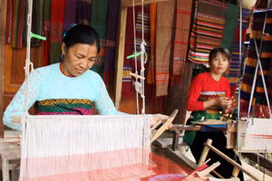Gallery - Tâm huyết với chỉ đạo của Tổng Bí thư - image 23