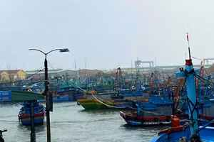 Gallery - Tập trung khắc phục hậu quả bão, lũ - image 5