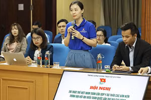 Các đại biểu trí thức trẻ trong và ngoài nước thảo luận tại hội nghị.