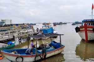 Gallery - Tập trung khắc phục hậu quả bão, lũ - image 11