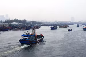 Gallery - Tập trung khắc phục hậu quả bão, lũ - image 14