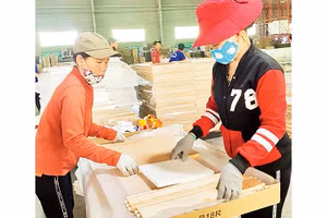 Sản xuất cánh tủ bếp và tủ nhà tắm tại Công ty gỗ Tiến Đạt. Ảnh: Mai Hương