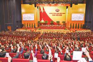 Gallery - Ý kiến cán bộ trong nước - image 15