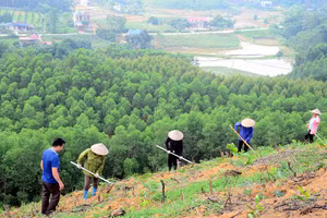 Gallery - Ý kiến cán bộ trong nước - image 18
