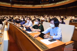 Đại biểu Quốc hội tham gia biểu quyết tại phiên họp toàn thể sáng 28/7. Ảnh: QUANG HOÀNG