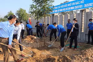Gallery - Tết trồng cây Xuân Tân Sửu