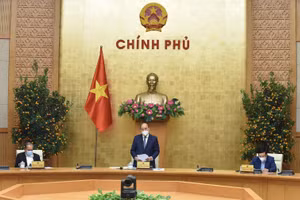 Gallery - Tết bình an - image 3
