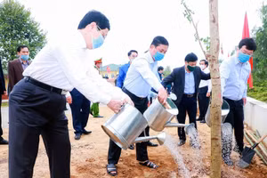 Gallery - Tết trồng cây Xuân Tân Sửu - image 1