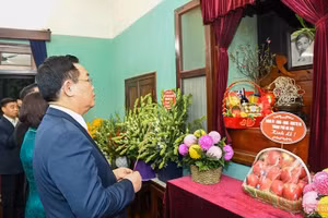 Gallery - Lãnh đạo Đảng, Nhà nước chúc Tết Tân Sửu - image 7