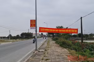 Gallery - Tết bình an - image 13